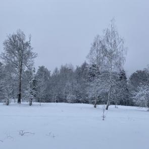 ����: � �����