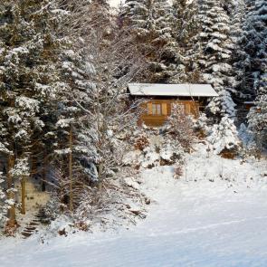 ����: � ���� �� ������ ���� ���� � �������