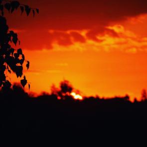 : orange sunset