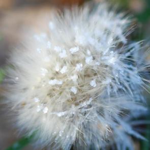 ����: ��������� 