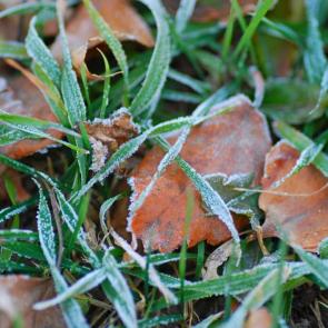 ����: �������� ����