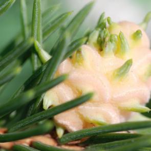 ����: �� ������