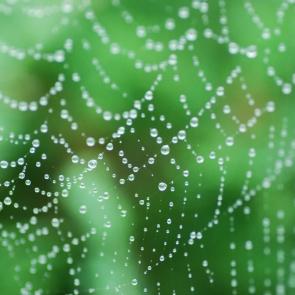 ����: ����� �����