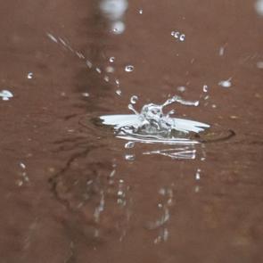 ����: ����� �����