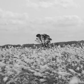 ����: ���� � ����