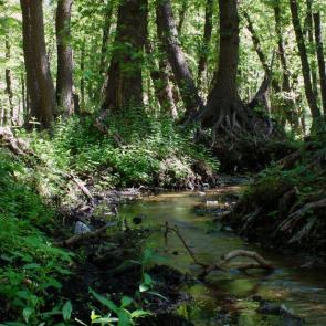 ����: ������ ��������