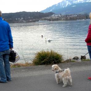 ����: ���������� ������