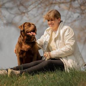 ����: ������