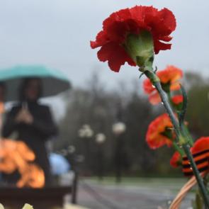 Фото: Спасибо за мир