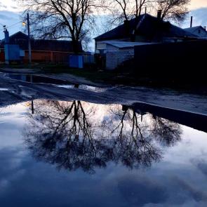 ����: ����� �����