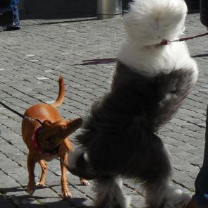 ����: � ������ ����