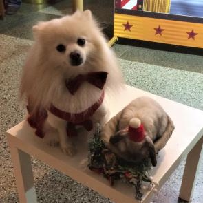 ����: � �����