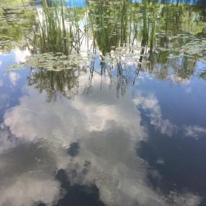 ����: ������� ����