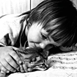 Фото: котенки