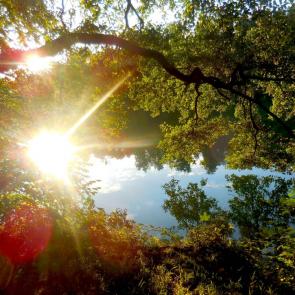 ����: ��������� ����