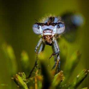 ����: � ����� ������