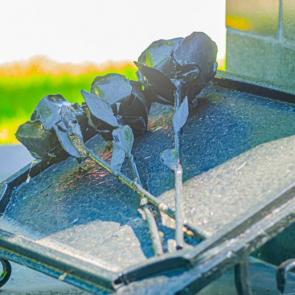 ����: �������� ������� ���������� ����� �����