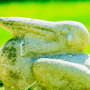 ����: �������� ���������� �������. 