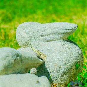 ����: �������� ���������� �������.