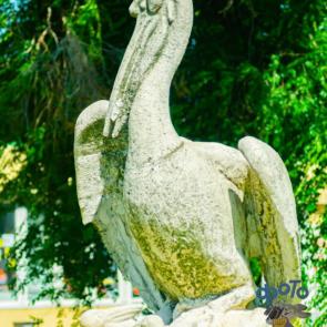 ����: �������� ���������� �������.