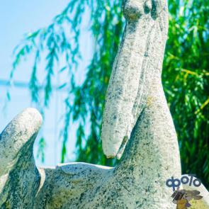 ����: �������� ���������� �������.