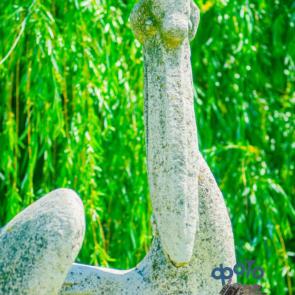 ����: �������� ���������� �������.