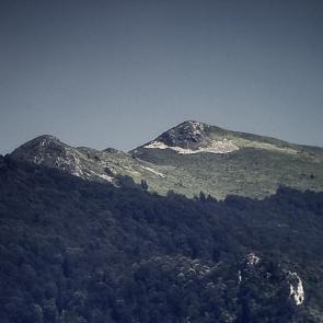 ����: ������ ������ ������ 7