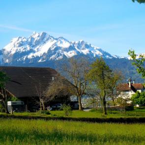 ����: ���� ��������� �������