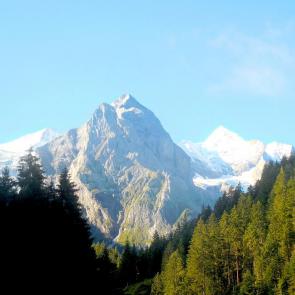 ����: ���� ���������