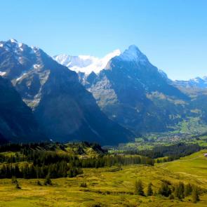 ����: ���� ���������