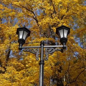 ����: �� ���� ������