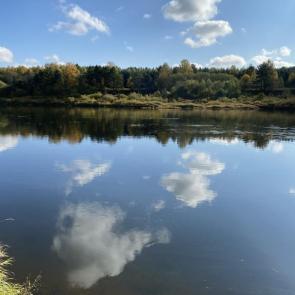 ����: ������