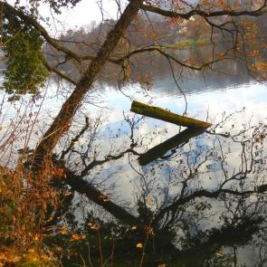 ����: ������