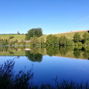 ����: ��������� �����