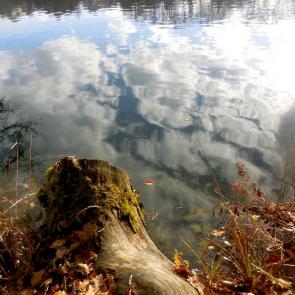 ����: � ���� ��������� ������