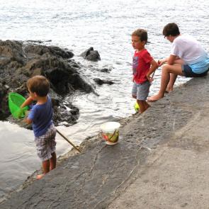 ����: ������ �� �������