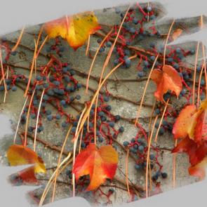 ����: ������� ���������