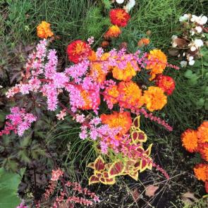 ����: ������� �����