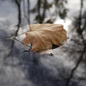 ����: ������� ������ �����