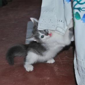 : 4_--