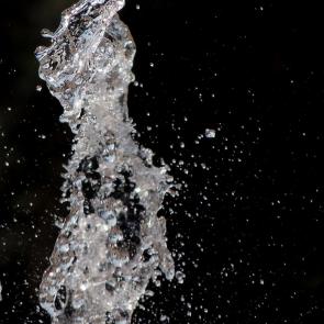 ����: ����� ������ ��������