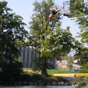 ����: ���������