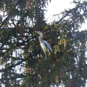 ����: ����� �� ����