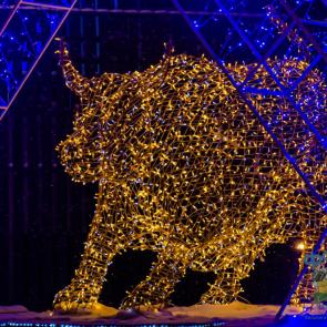 ����: ���������� ��������� ����������� �������