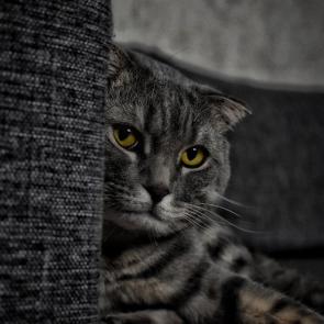 Фото: 