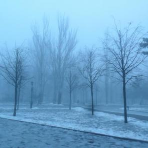 : Winter mist