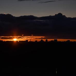 ����: ������� 