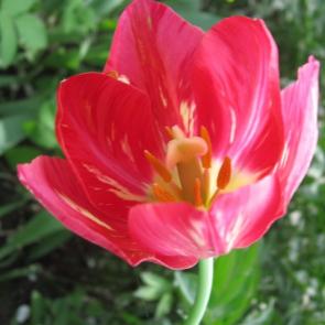 ����: ���������� ���������