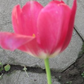 ����: ������� �� �����