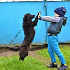 ����: ������� ������